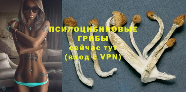 экстази Баксан