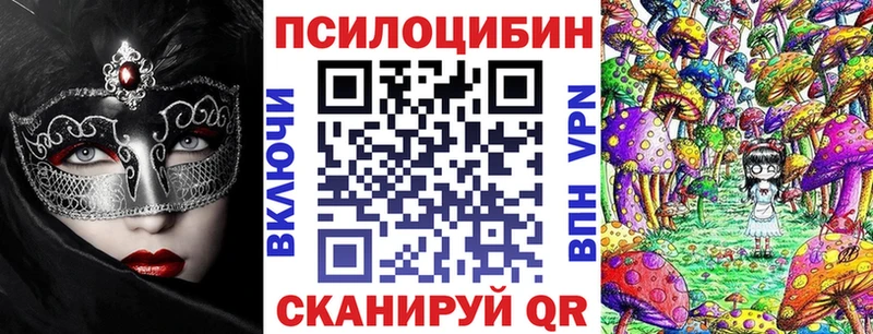 Купить где  Дзержинский  Псилоцибиновые грибы мицелий 